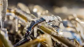 Jezioro Gołdopiwo na początku marca 2023 r. - zdjęcie 9