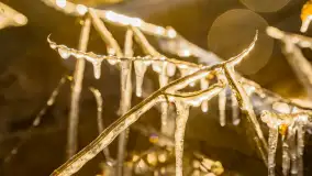 Jezioro Gołdopiwo na początku marca 2023 r. - zdjęcie 36