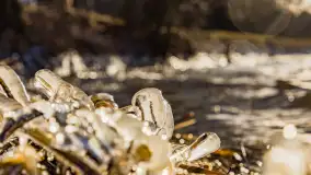 Jezioro Gołdopiwo na początku marca 2023 r. - zdjęcie 38