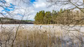 Wyspa Wydmińska i jezioro Wydmińskie, końcówka zimy 2023 r. - zdjęcie 40