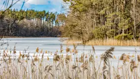 Wyspa Wydmińska i jezioro Wydmińskie, końcówka zimy 2023 r. - zdjęcie 10