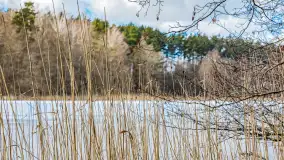 Wyspa Wydmińska i jezioro Wydmińskie, końcówka zimy 2023 r. - zdjęcie 3