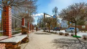 Poszukiwania wiosny w Węgorzewie, marzec 2023 r. - zdjęcie 11