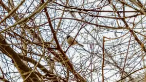 Weekend na dziko nad jeziorem Tyrkło. marzec 2023 r. - zdjęcie 46