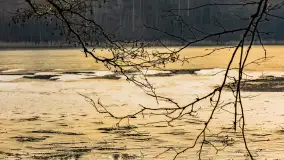 Wschód słońca nad jeziorem Tyrkło, marzec 2023 r. - zdjęcie 29