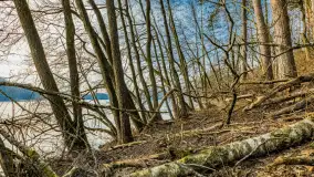 Wschód słońca nad jeziorem Tyrkło, marzec 2023 r. - zdjęcie 2