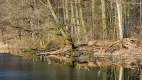 Wschód słońca nad jeziorem Tyrkło, marzec 2023 r. - zdjęcie 42