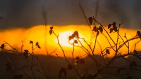 Zachód słońca, z innej perspektywy, marzec 2023 r. - zdjęcie 6