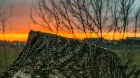 Zachód słońca, z innej perspektywy, marzec 2023 r. - zdjęcie 9