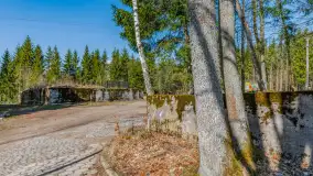 Wiosenny spacer po Mamerkach, marzec 2023 r. - zdjęcie 22