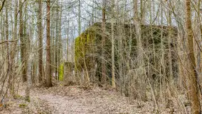 Wiosenny spacer po Mamerkach, marzec 2023 r. - zdjęcie 10