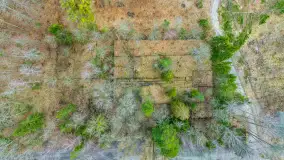 Wiosenny spacer po Mamerkach, marzec 2023 r. - zdjęcie 33