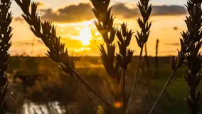 Zachód słońca nad rzeką Guber, kwiecień 2023 r. - zdjęcie 55