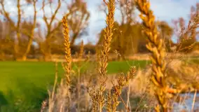 Zachód słońca nad rzeką Guber, kwiecień 2023 r. - zdjęcie 60