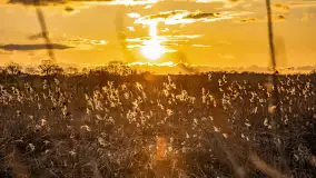 Zachód słońca nad rzeką Guber, kwiecień 2023 r. - zdjęcie 38