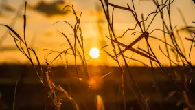 Zachód słońca nad rzeką Guber, kwiecień 2023 r. - zdjęcie 65