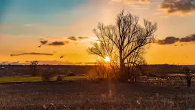 Zachód słońca nad rzeką Guber, kwiecień 2023 r. - zdjęcie 40