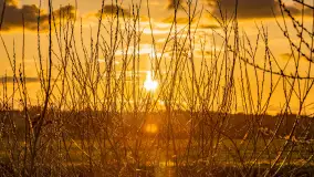 Zachód słońca nad rzeką Guber, kwiecień 2023 r. - zdjęcie 47