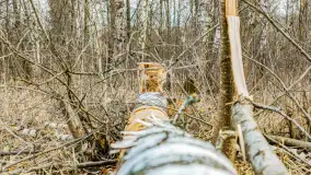 Węgorapa i kanał Węgorzewski pod koniec marca 2023 r. - zdjęcie 18