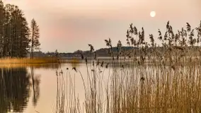 Wschód słońca nad jeziorem Dejguny, kwiecień 2023 r. - zdjęcie 18