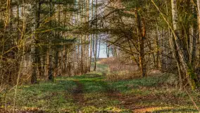 Wschód słońca nad jeziorem Dejguny, kwiecień 2023 r. - zdjęcie 33