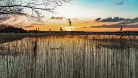 Zachód słońca nad jeziorem Dejguny, Lisi Ogon, kwiecień 2023 r. - zdjęcie 1