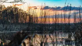 Zachód słońca nad jeziorem Dejguny, Lisi Ogon, kwiecień 2023 r. - zdjęcie 8