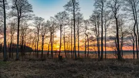 Zachód słońca nad jeziorem Dejguny, Lisi Ogon, kwiecień 2023 r. - zdjęcie 3