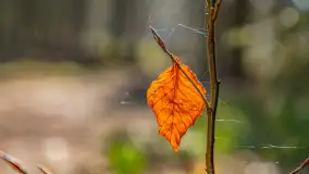 Wiosna i rozlewiska przy jeziorze Siercze niedaleko Gierłoży - zdjęcie 29