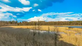 Wiosna i rozlewiska przy jeziorze Siercze niedaleko Gierłoży - zdjęcie 6