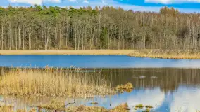 Wiosna i rozlewiska przy jeziorze Siercze niedaleko Gierłoży - zdjęcie 7