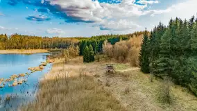 Wiosna i rozlewiska przy jeziorze Siercze niedaleko Gierłoży - zdjęcie 50