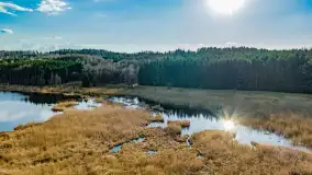 Wiosna i rozlewiska przy jeziorze Siercze niedaleko Gierłoży - zdjęcie 45