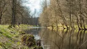 Kanał Mazurski, wiele ukrytych perełek - zdjęcie 15