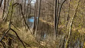 Kanał Mazurski, wiele ukrytych perełek - zdjęcie 61