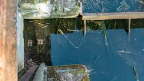 Kanał Mazurski, wiele ukrytych perełek - zdjęcie 69