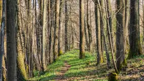Kanał Mazurski, wiele ukrytych perełek - zdjęcie 71