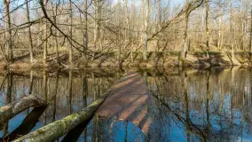 Kanał Mazurski, wiele ukrytych perełek - zdjęcie 70
