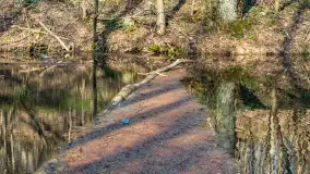 Kanał Mazurski, wiele ukrytych perełek - zdjęcie 76