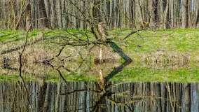 Wiosna już jest, taka prawdziwa, zielona i ciepła - zdjęcie 7