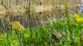 Wiosna już jest, taka prawdziwa, zielona i ciepła - zdjęcie 31