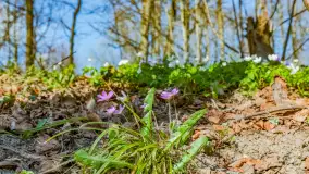 Wiosna już jest, taka prawdziwa, zielona i ciepła - zdjęcie 53