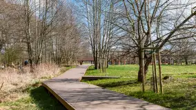 Plaża i ścieżka edukacyjna w Czernikach, jezioro Mój - zdjęcie 16