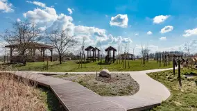 Plaża i ścieżka edukacyjna w Czernikach, jezioro Mój - zdjęcie 46