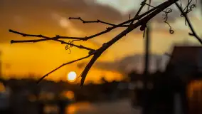 Zachód słońca w Mikołajkach, czuć sezon 2023 - zdjęcie 39