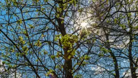 Port Zielona Zatoka, gotowy na sezon 2023 - zdjęcie 19