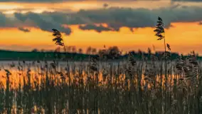 Zachód słońca nad jeziorem Dejgunek, kwiecień 2023 r.  - zdjęcie 19