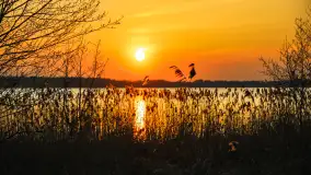 Zachód słońca w Pierkunowie, jezioro Kisajno, kwiecień 2023 r. - zdjęcie 7