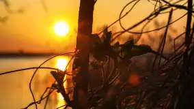 Zachód słońca w Pierkunowie, jezioro Kisajno, kwiecień 2023 r. - zdjęcie 19