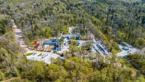 Przy Wilczym Szańcu posadzono 5000 dębów - zdjęcie 44